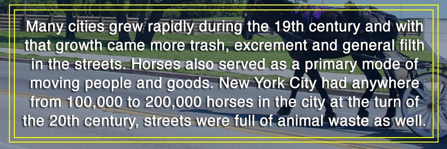 A horse and buggy on a road, highlighting 19th-century urban growth and the resulting street pollution from horses.